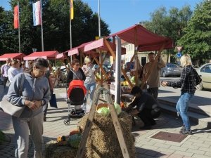 Otvoren je 6. Festival Ogulinskog zelja